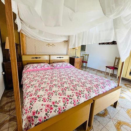 Apartament Big House Vicino Al Castello Rocca Imperiale Zewnętrze zdjęcie